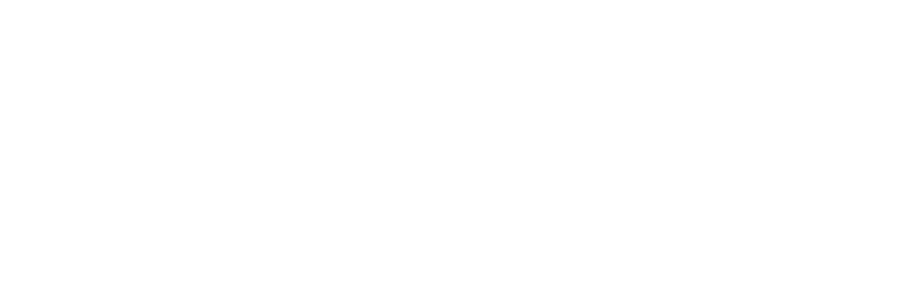 Crash Override logo